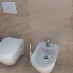 Hotel Green 4*