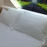 Hotel Green מלון Vasqarr